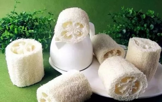 丝瓜络的功效及作用