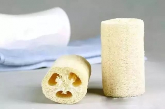 丝瓜络的功效及作用