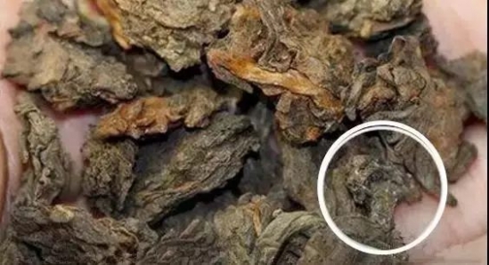 茶叶受潮了怎么处理