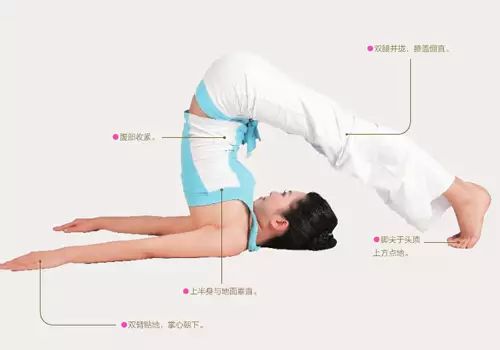 滋养子宫的五个动作