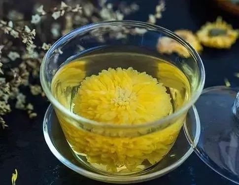风热感冒和风寒感冒的区别是什么
