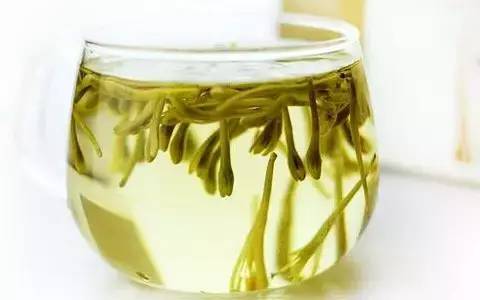 金银花的功效与作用泡水