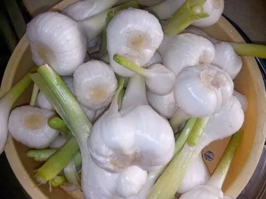 怎么腌大蒜好吃