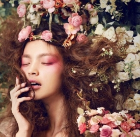 花茶的功效与作用