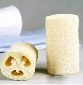 丝瓜络有什么功效