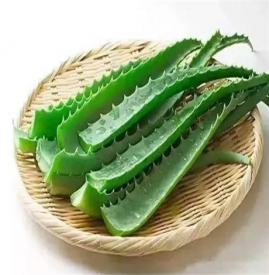 芦荟茶的功效与作用