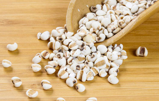 薏米可以用豆浆机打吗 薏米能用豆浆机打吗