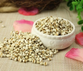薏米吃多了有什么副作用 薏米吃多了有什么危害