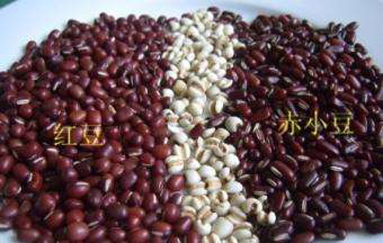 红豆薏米粥的红豆是哪种豆 红豆薏米粥是什么红豆