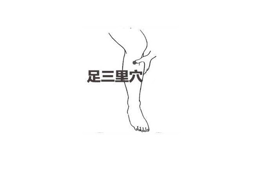拔罐祛湿位置图 拔罐去湿气的位置图