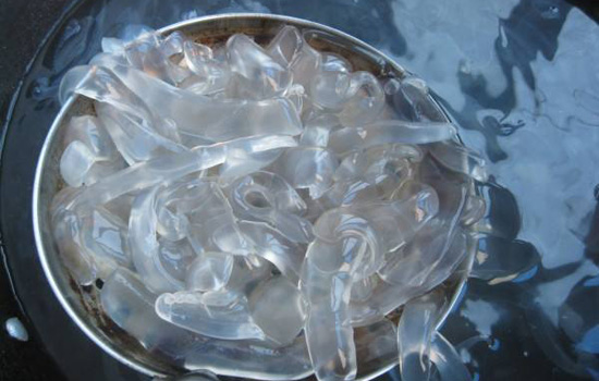 凉拌海蜇丝需要焯水吗 海蜇丝要不要开水烫