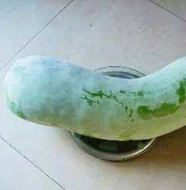冬瓜为什么叫冬瓜 冬瓜为啥叫冬瓜