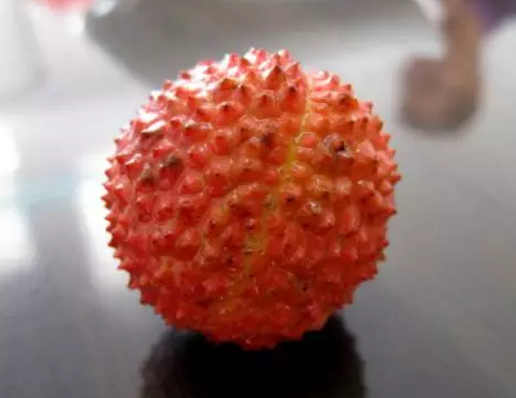 剥荔枝窍门 剥荔枝技巧