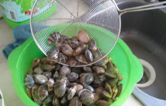 花甲不开口是不是死了 花甲不开口可以吃吗