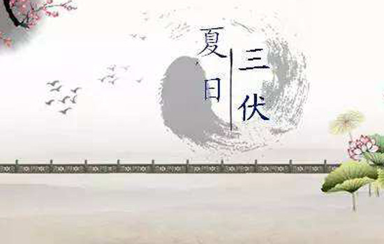 2025年入伏是几月几号 2025年入伏时间