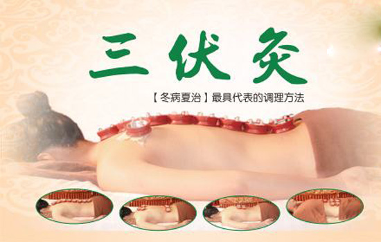 三伏灸一疗程多少钱
