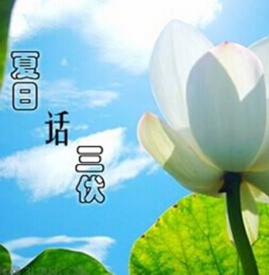 三伏三九是什么意思 三伏三九怎么算