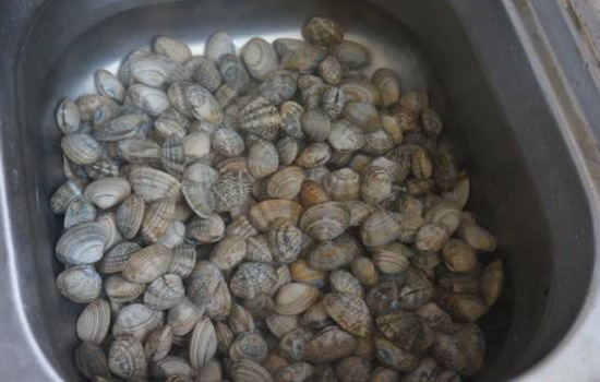 花甲有沙子吃了怎么办