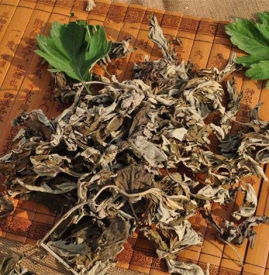 艾草的功效与用法