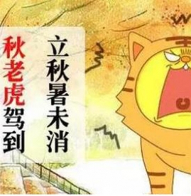 秋老虎从什么时候开始 秋老虎是几月