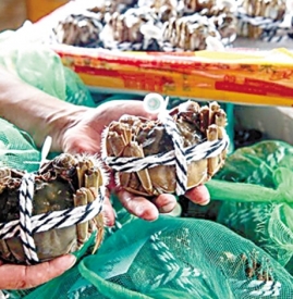 大闸蟹可以带上飞机吗 大闸蟹能带上飞机吗