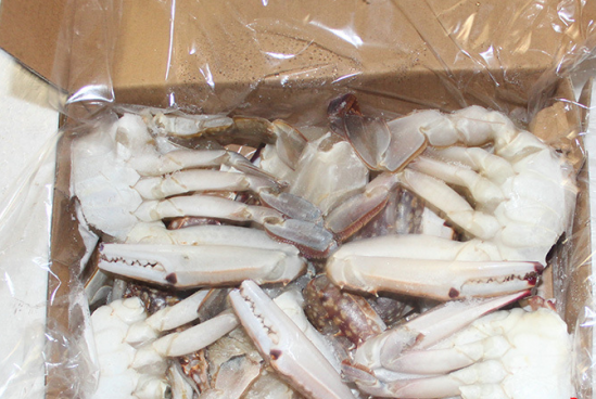 大闸蟹可以冷冻吗 大闸蟹能冷冻吗