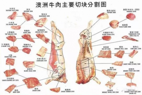 牛肉分割图及名称 牛肉部位分割图