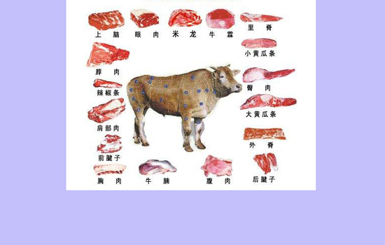 牛肉分割图及名称 牛肉部位分割图