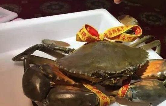 青蟹里面黑色膏能吃吗 青蟹里面黑色东西能吃吗