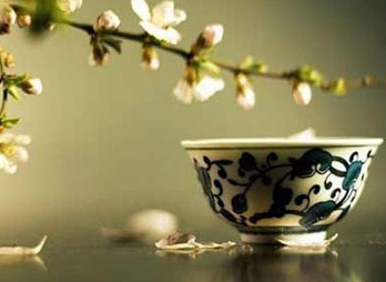 减肥减脂喝什么茶