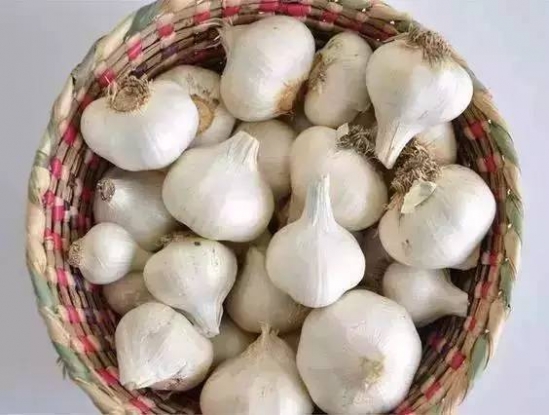 不宜放冰箱的食物