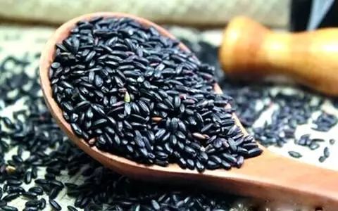 瘦肚子吃什么食物