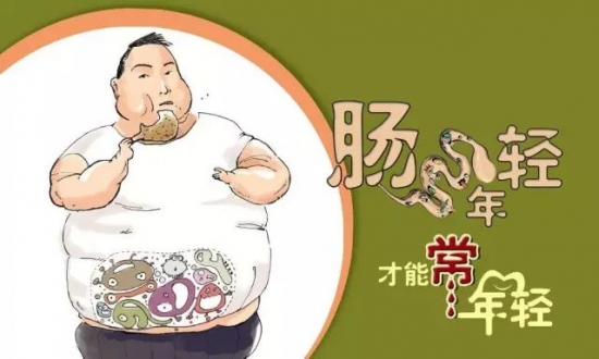 肠道健康的重要性