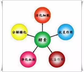 胃口不好的病人的进食原则