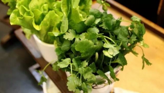 吃香菜有什么好处
