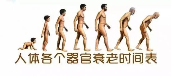 衰老的表现