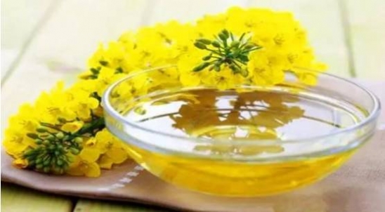 做菜用什么油好