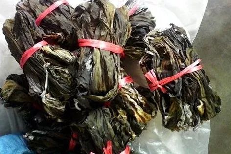 海带法功效与作用