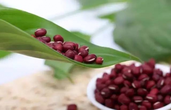 红豆怎么吃减肥最快