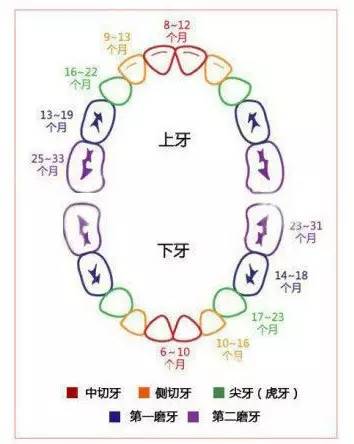 孕妈需要知道的知识