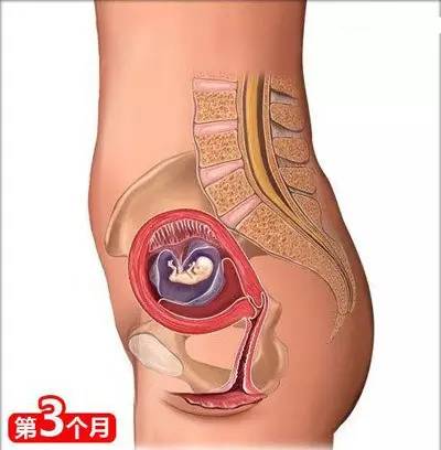 孕妈需要知道的知识