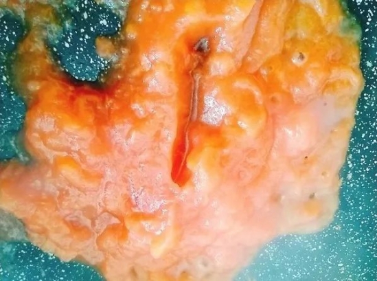 番茄鸡肝泥的做法 一款补铁超级棒的辅食做法