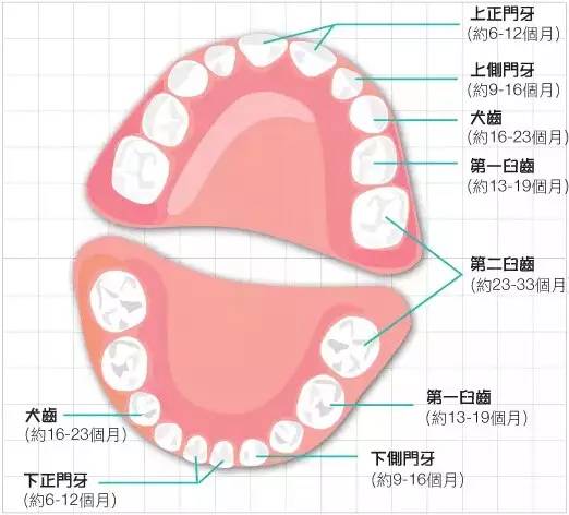 宝宝长牙痛怎么缓解