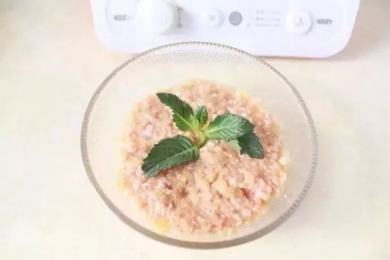 关于宝宝吃肉的问题 宝宝多大才适合吃肉食吗