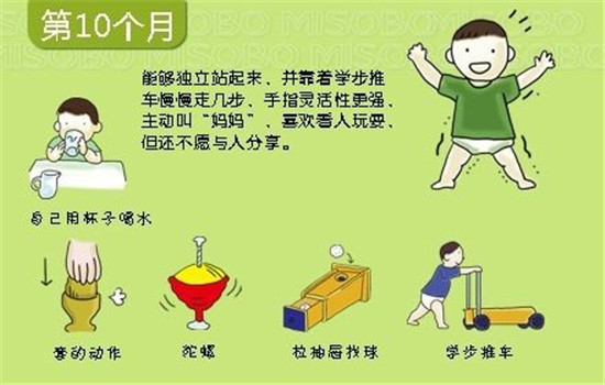 宝宝各个阶段的表现 宝宝各阶段发育标准