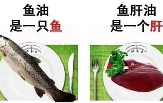 鱼肝油是什么 鱼肝油是什么样的