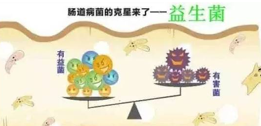 宝宝益生菌怎么吃效果好