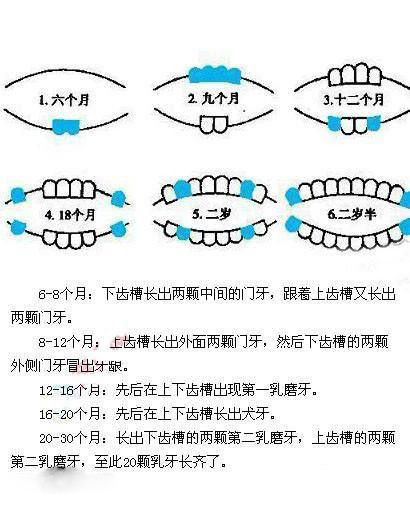 宝宝几个月长上牙 宝宝几个月长上边的牙
