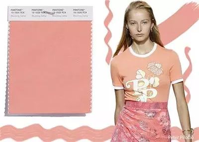 2025服装流行色