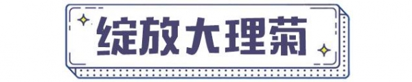 2025春夏流行色服装
